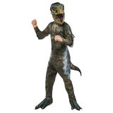 Boys Licensed Costumes