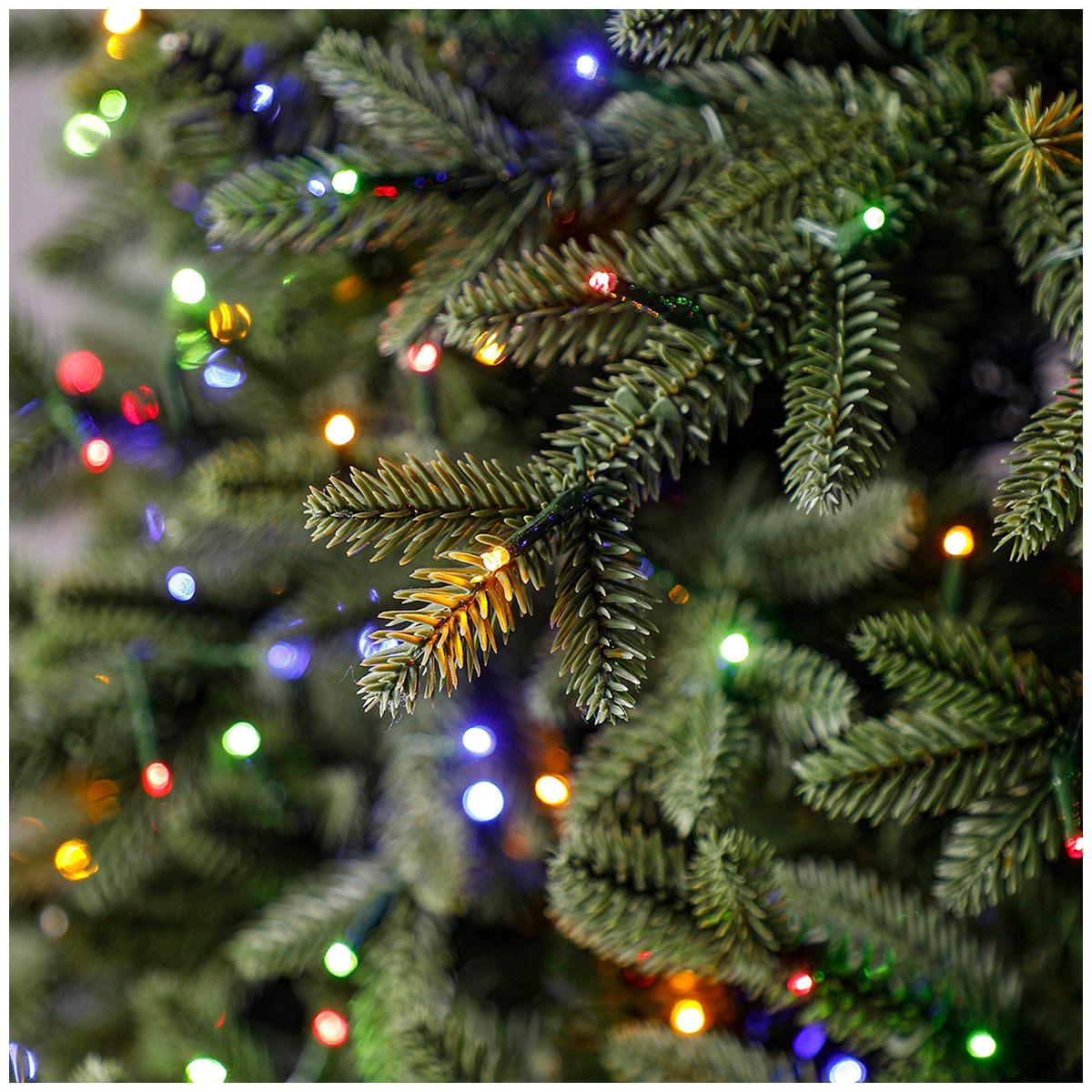 Pre-Lit 2.74m Aspen Micro Dot LED Christmas Tree