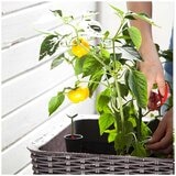 Keter Easy Grow Planter Brown