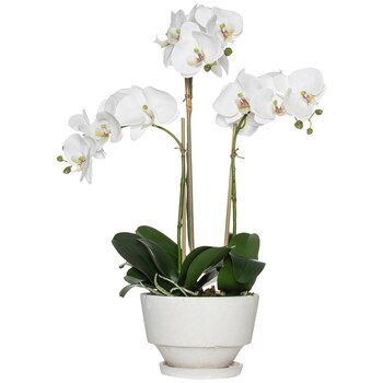 Rogue Phalaenopsis-Voss Bowl 40x32x61cm White/Cream