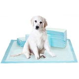 Kirkland Signature Absorbent Puppy Pads 100ct