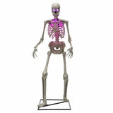 6FT Halloween Animated Skeleton Greeter