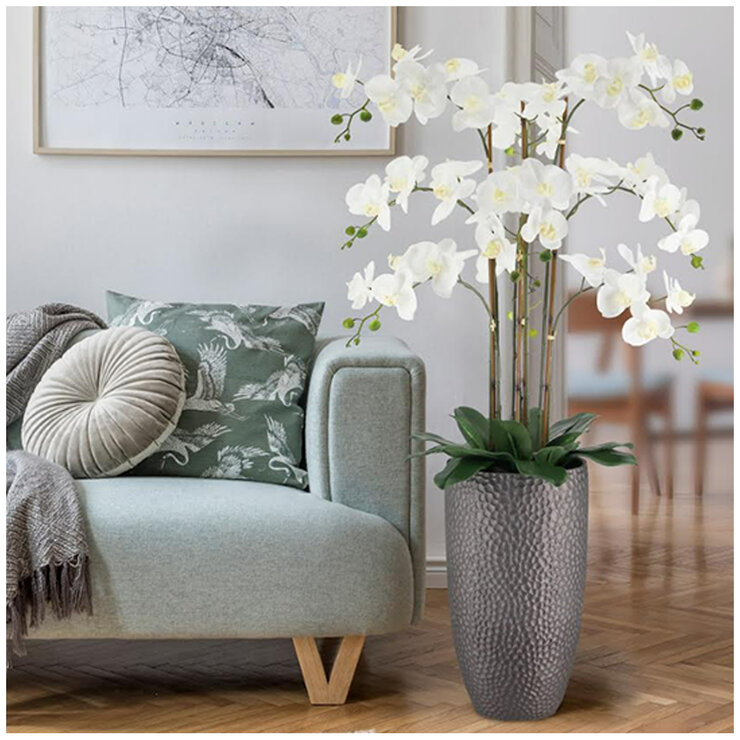 CGH Phalaenopsis Orchid Arrangement 1.2M White