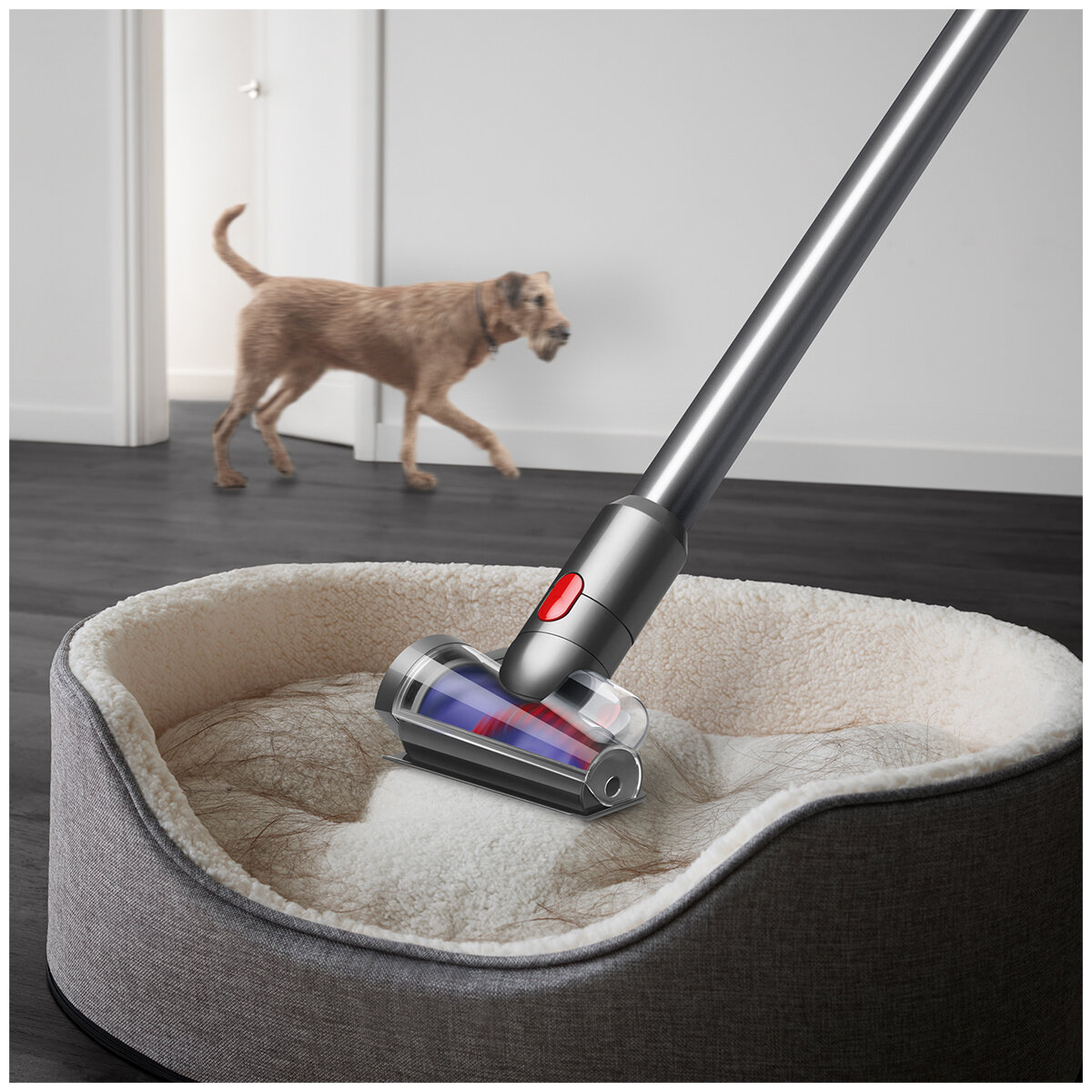 Dyson V15 Detect Absolute Stick Vacuum 394439-01