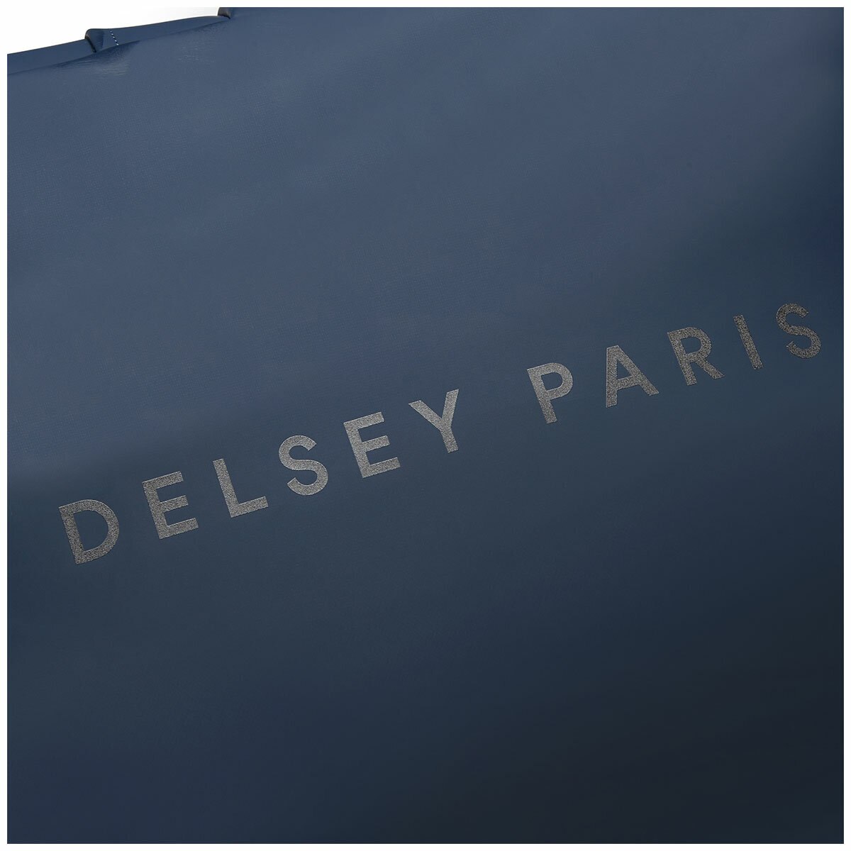 Delsey Turenne Rolltop Backpack