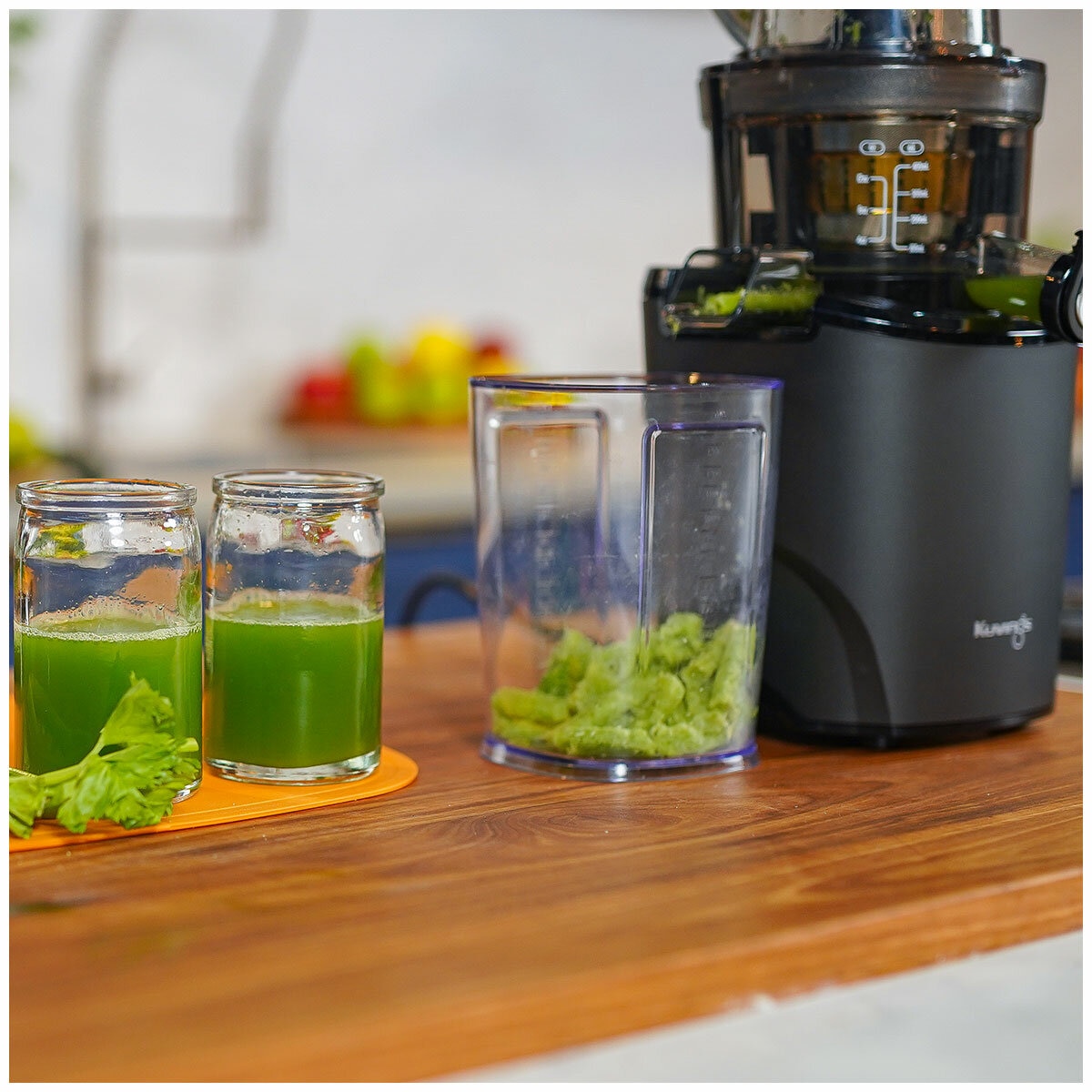 Kurvings Cold Press Juicer Revo830