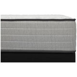 Domino Eyre Queen Mattress Firm