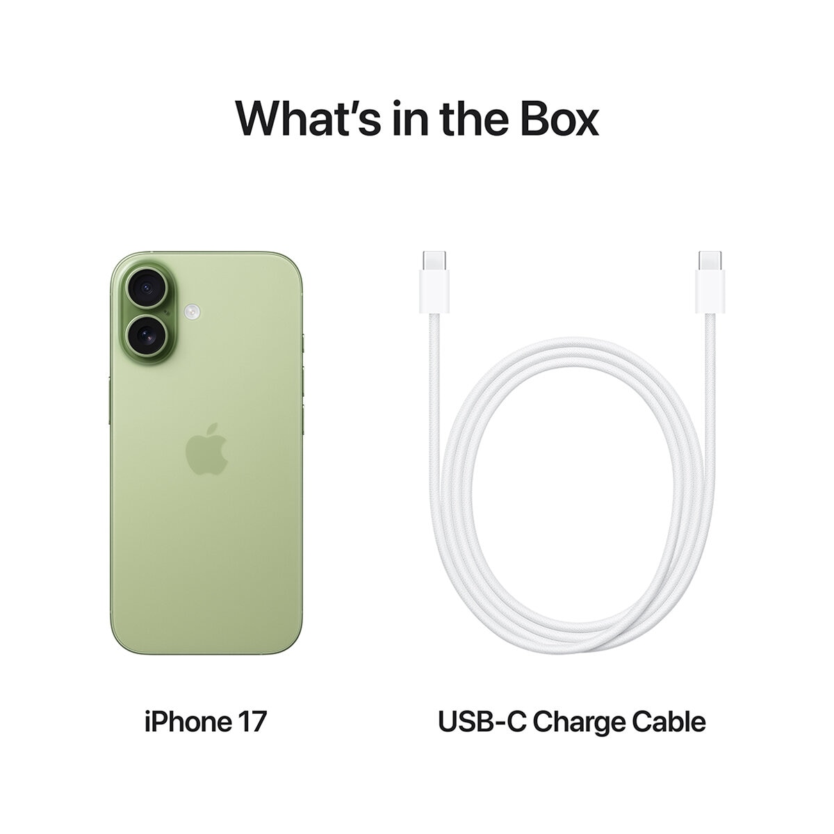 iPhone 17 Sage