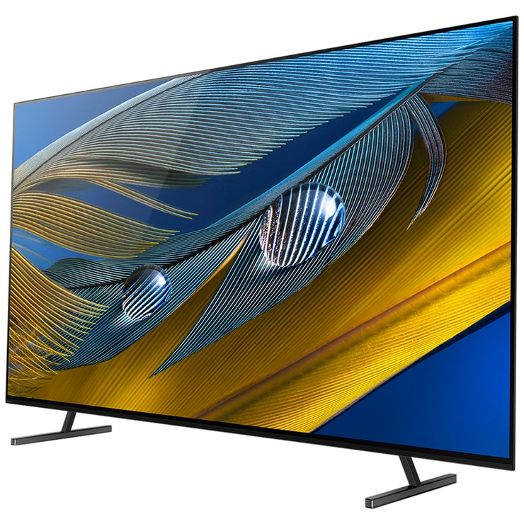 Sony 65 Inch Bravia XR OLED 4K Google TV XR65A80J Costco Australia