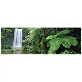 Ken Duncan Millaa Millaa Falls QLD Framed Print 101.2 x 57cm