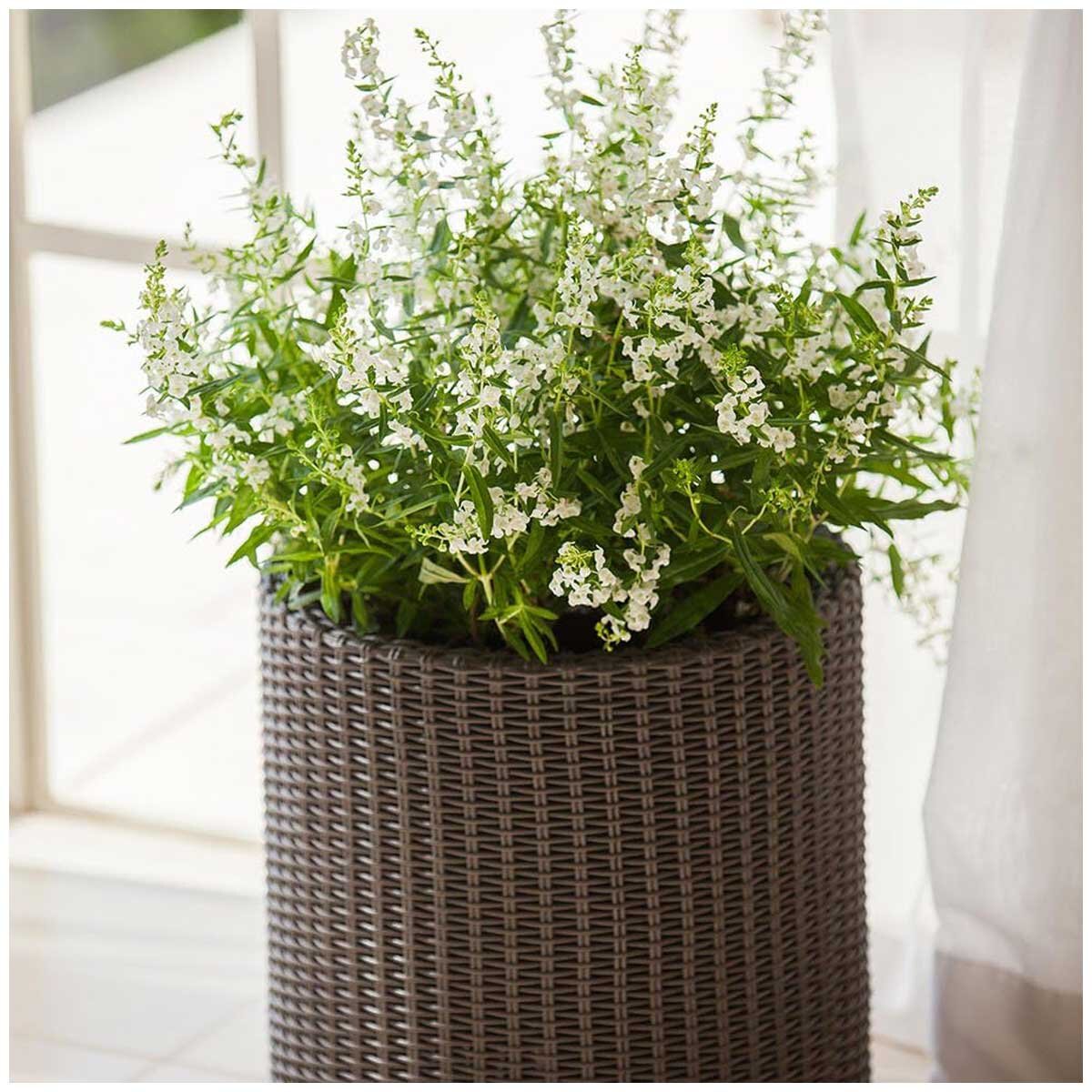 Keter Cylinder Planter Set 3 Piece Dark Brown