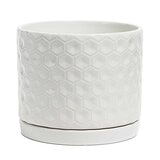 over&back Set of 2 Honeycomb Ceramic Planters