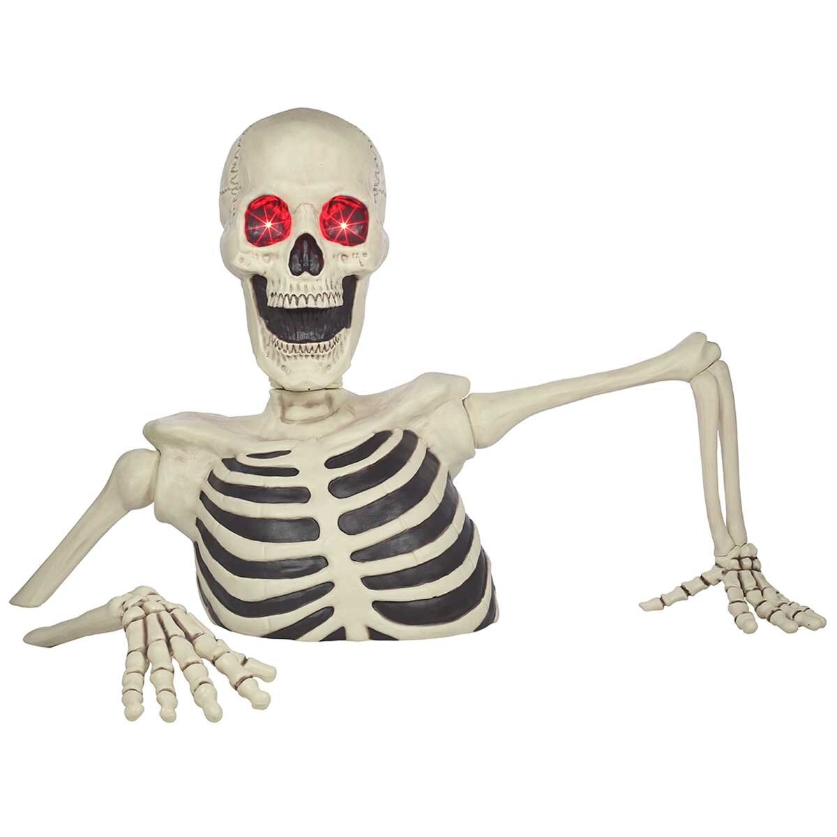 Giant Ground Breaking Skeleton