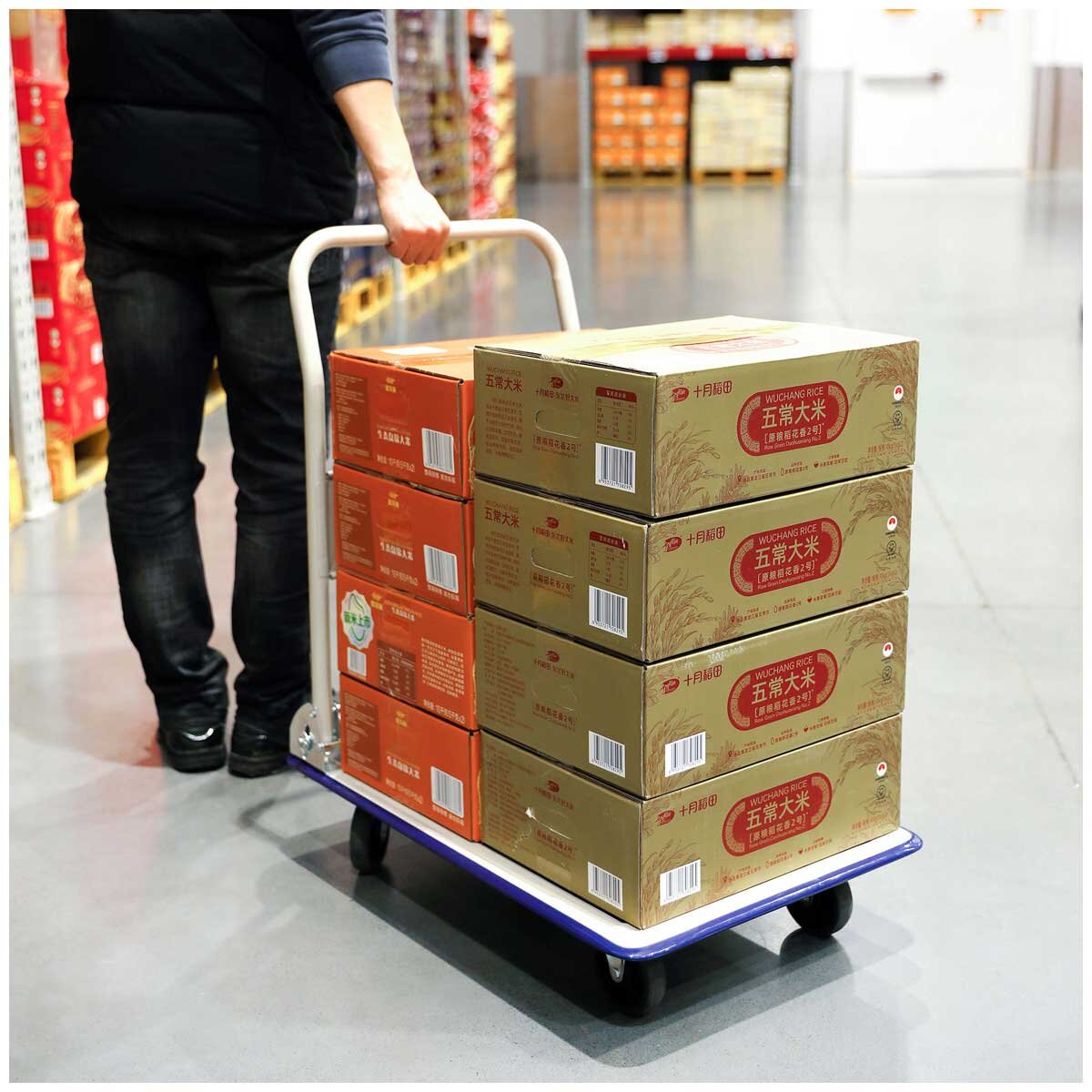 Folding Platform Trolley 150kg