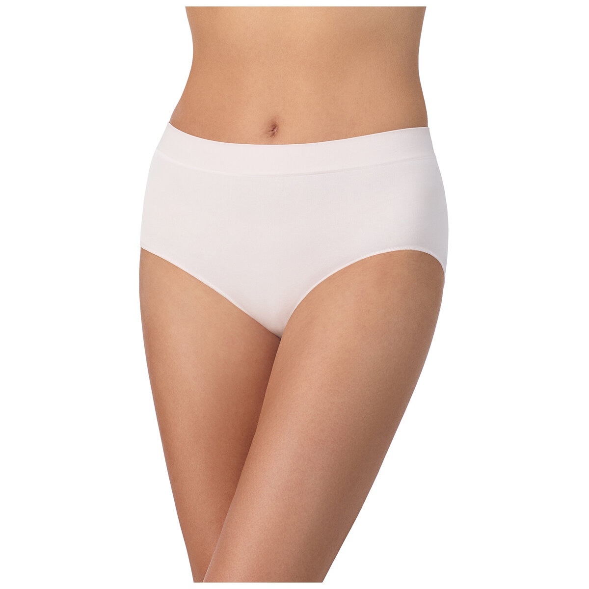 Carole Hochman Women's Seamless Brief 5 Pack Small Multi