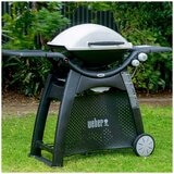 Weber Family Q3100 Titanium