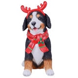 Holiday Dog Greeter