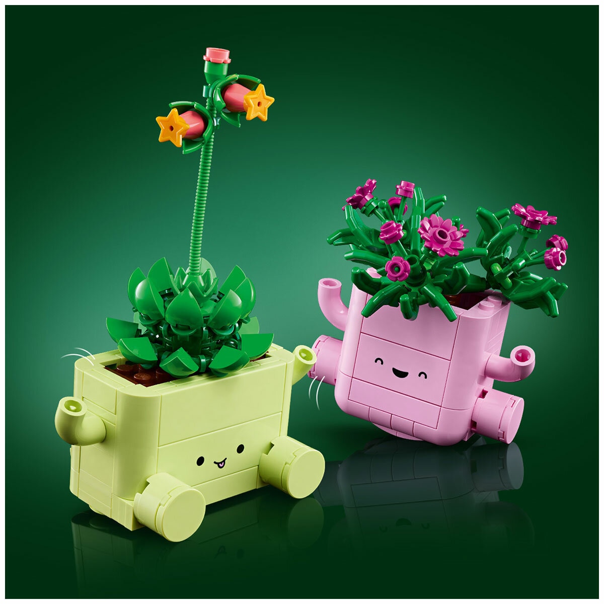 LEGO Botanicals Rocking Plants 11506
