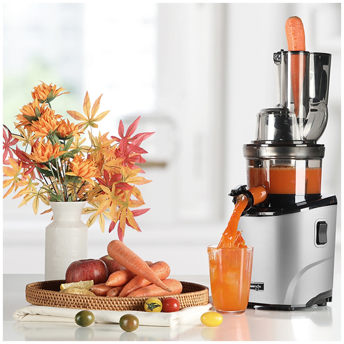 Kuvings REVO830 Cold Press Juicer Silver