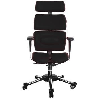 Hara Ergonomic Doctor V Chair