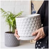 over&back Set of 2 Honeycomb Ceramic Planters