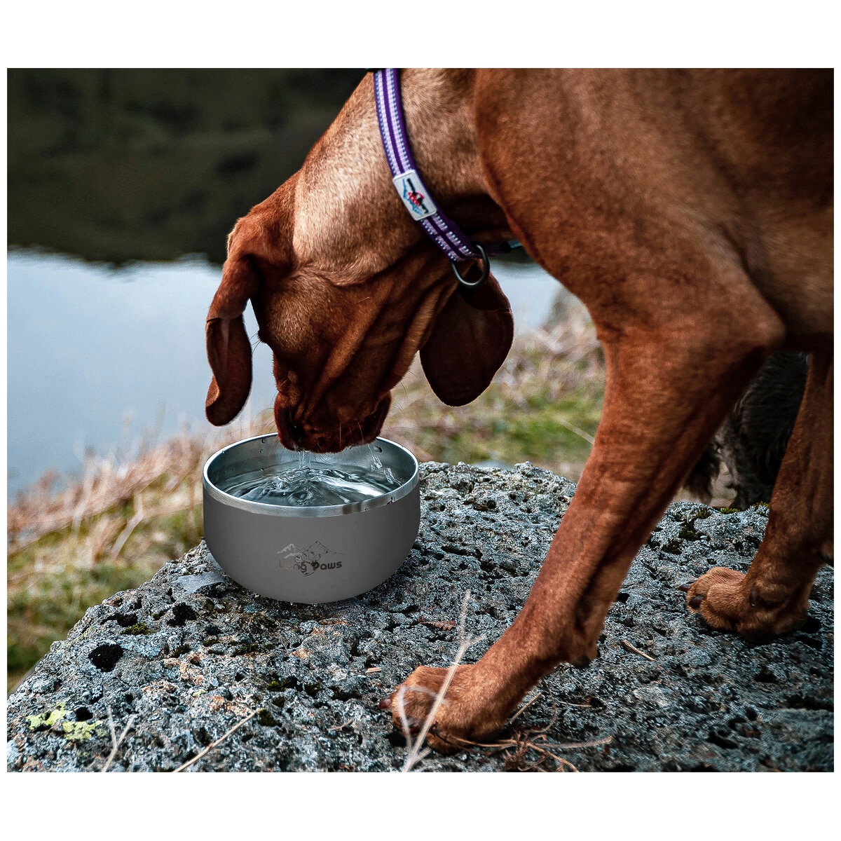 Long Paws Lunar Dog Bowls 2 Pack