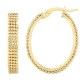Gold Earrings