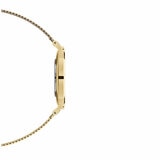 Daniel Wellington Petite Evergold White Dial Women's Watch DW00100348