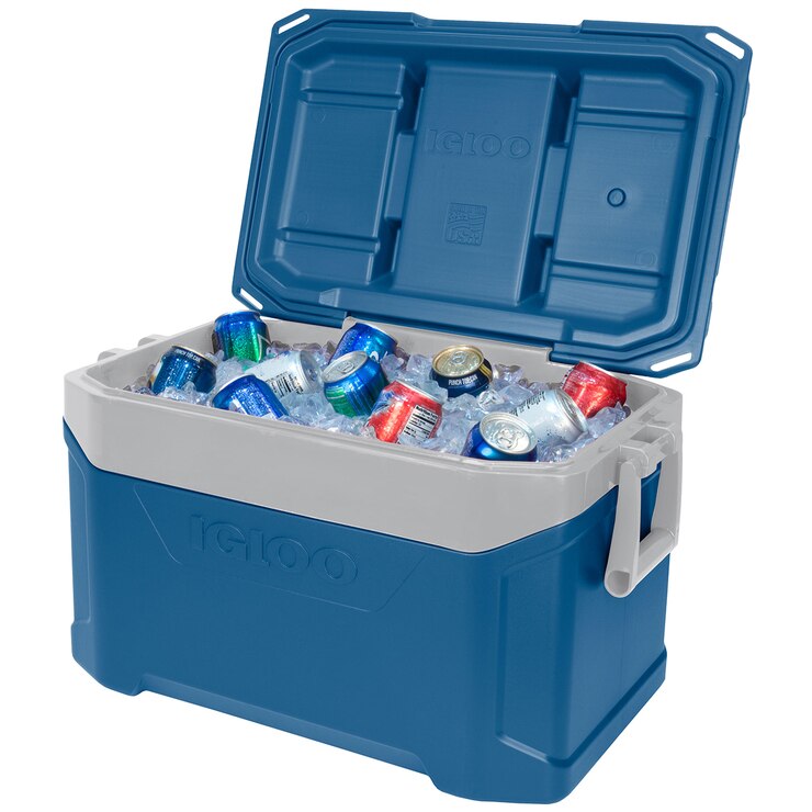 igloo 47l cooler