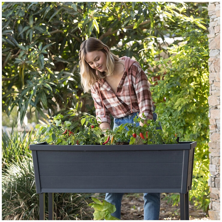 Keter Easy Grow Planter Black