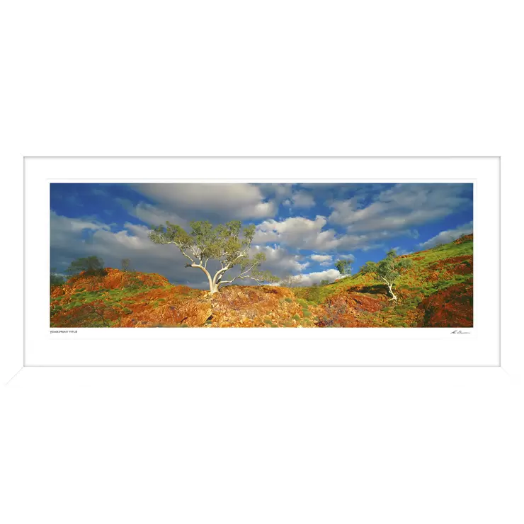 Ken Duncan 50 Inch Snappy Gums, Marble Bar, WA Framed Print Ken Duncan 50 Inch Snappy Gums, Marble Bar, WA Framed Print