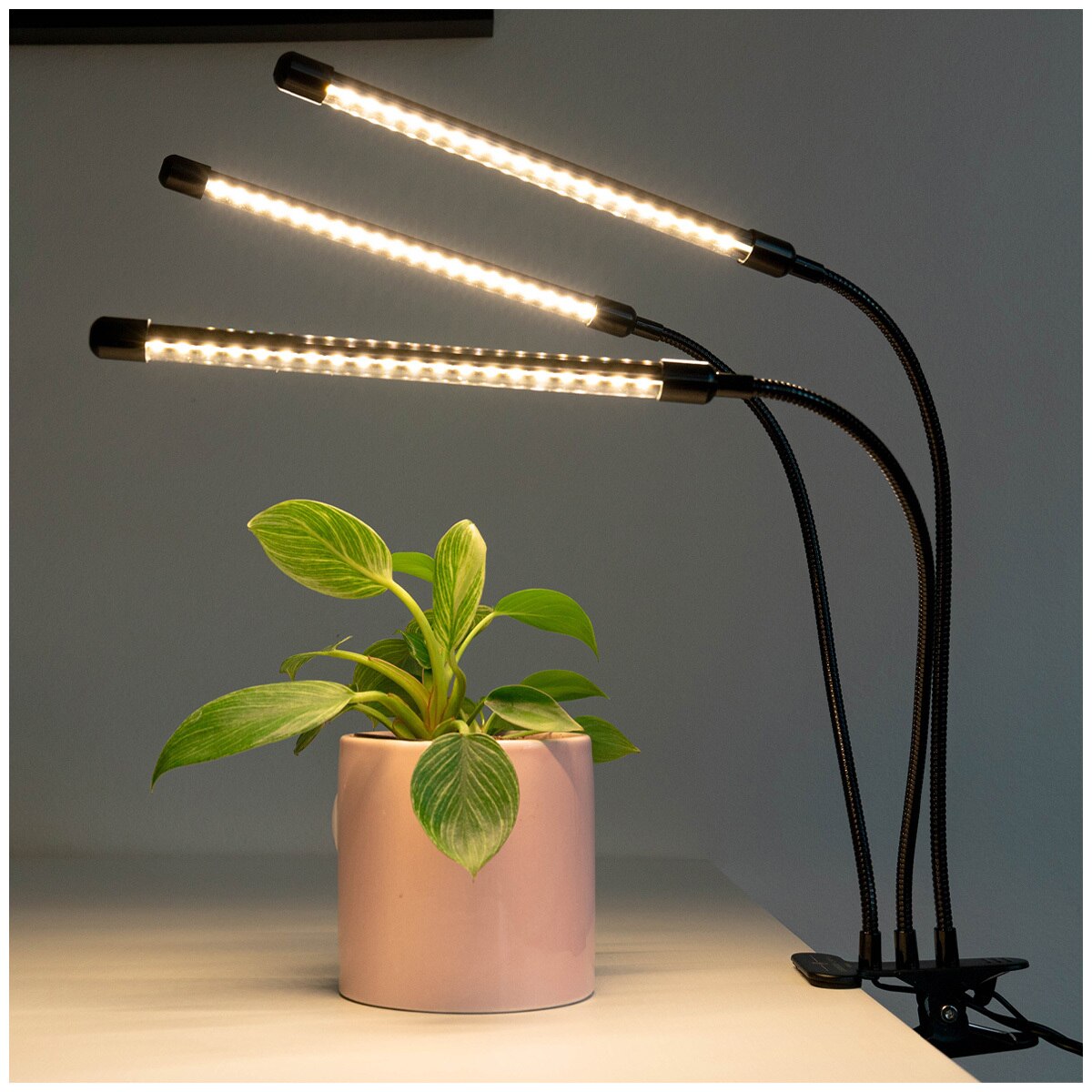 Urban Plant Growers Full spectrum LED grow light AUGL00W3-FULLSPECTRUM3