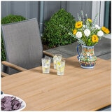 SunVilla Sara Sling Dining 7 Piece Set